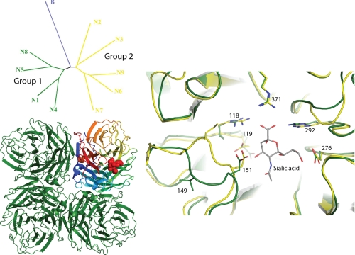 FIGURE 3.