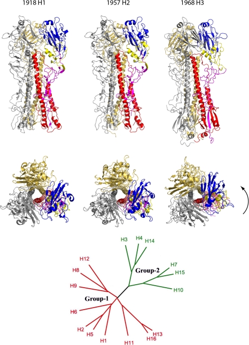 FIGURE 1.