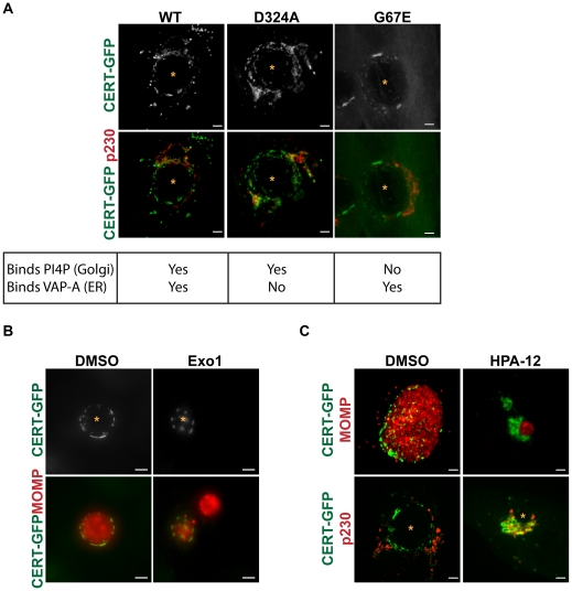 Figure 6