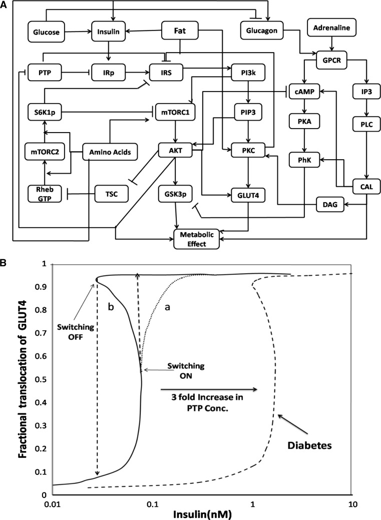 Fig. 3