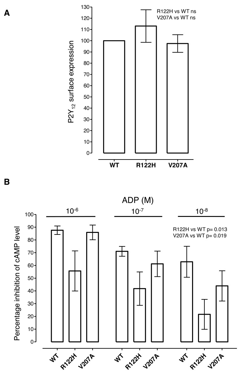 Figure 4: