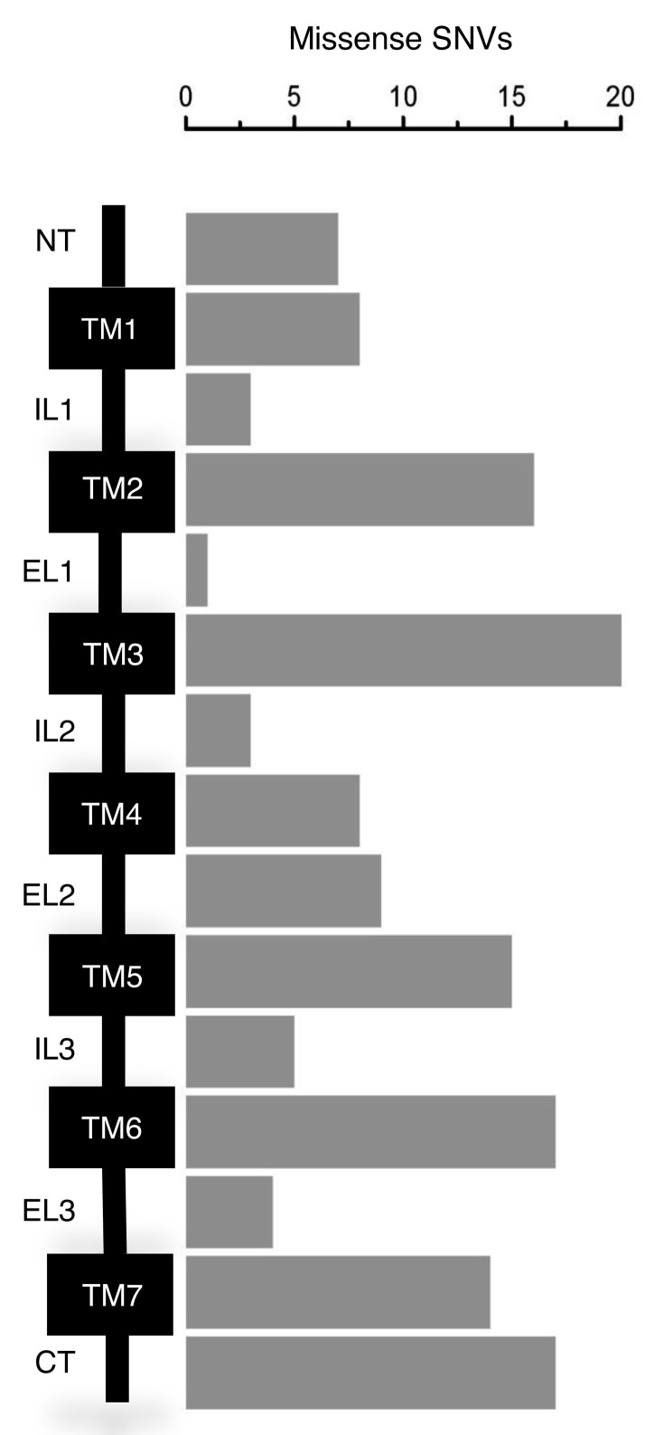 Figure 2: