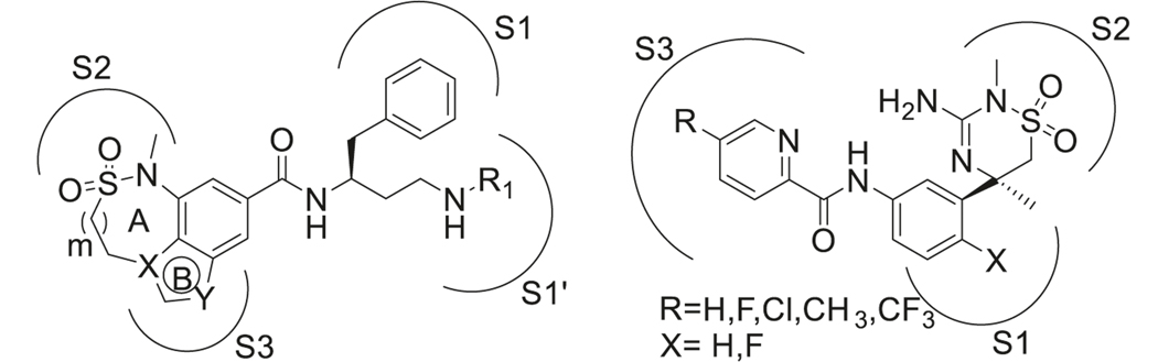 Fig. 14