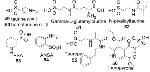 Fig. 12