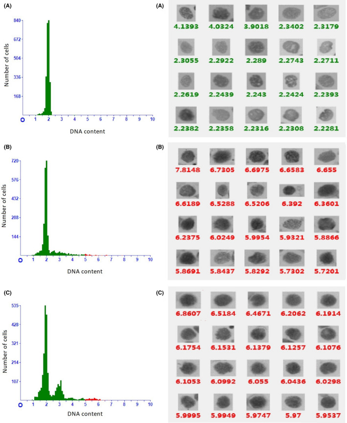 FIGURE 3