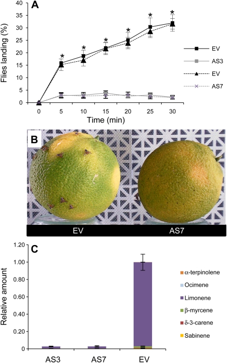 Figure 7.