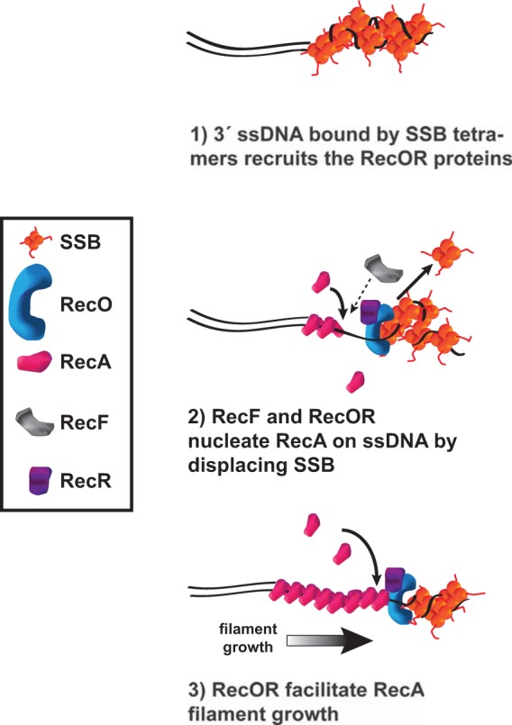 FIG 6