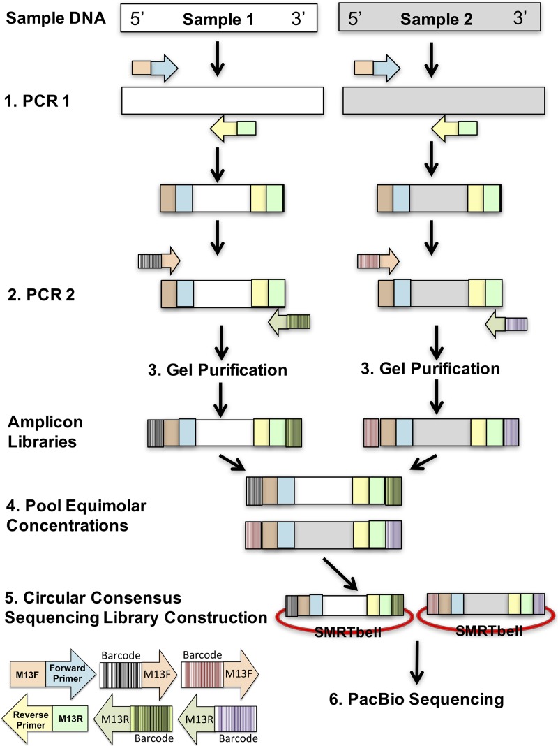 FIG 3 