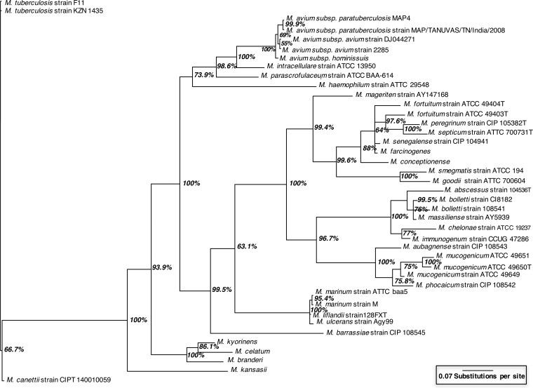 FIG 2 