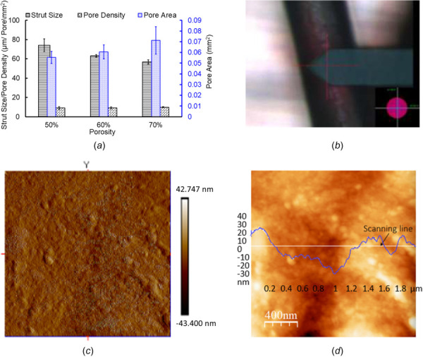 PCL FD properties and surface characterization (a) strut thickness, pore sizes, and pore densities. The error bars are shown as ±1σ standard deviation except for the pore areas, where error bars are shown for 1 standard mean error (SEM), (b) optical image showing atomic force microscopy (AFM) probe tip position on a PCL strut on the flow diverter with 40× magnification, (c) AFM 3D surface topography of strut surface, and (d) variation of surface roughness along the scanning line. The RMS value of surface roughness is 14.45 nm.