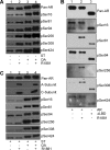 FIG. 9.