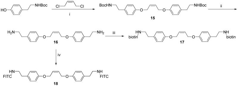 Scheme 2