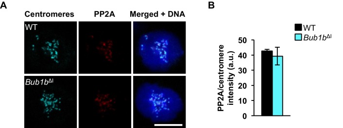 Figure 5—figure supplement 1.