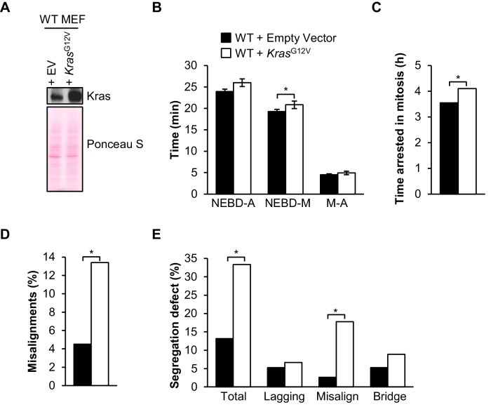 Figure 10.