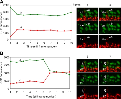 Figure 5.