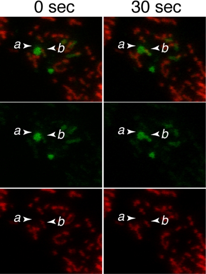 Figure 7.