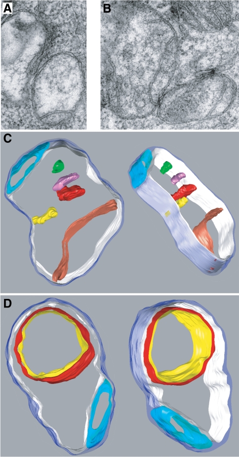 Figure 6.