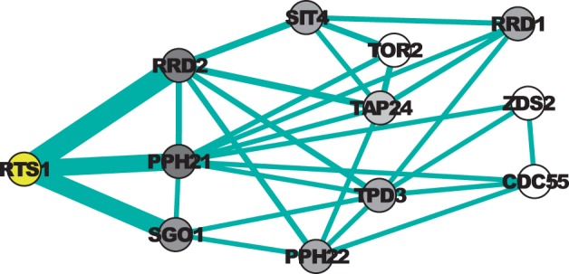 Fig. 8.