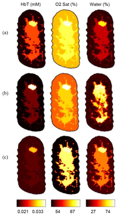 Fig. 11