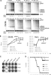 FIG. 6.