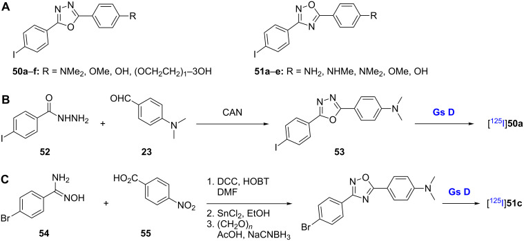 Scheme 5