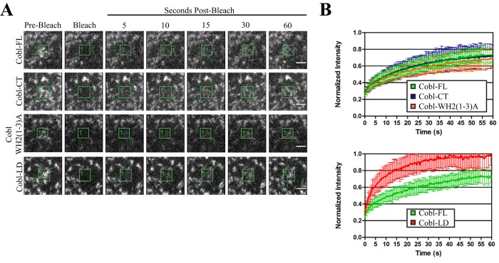 FIGURE 3: