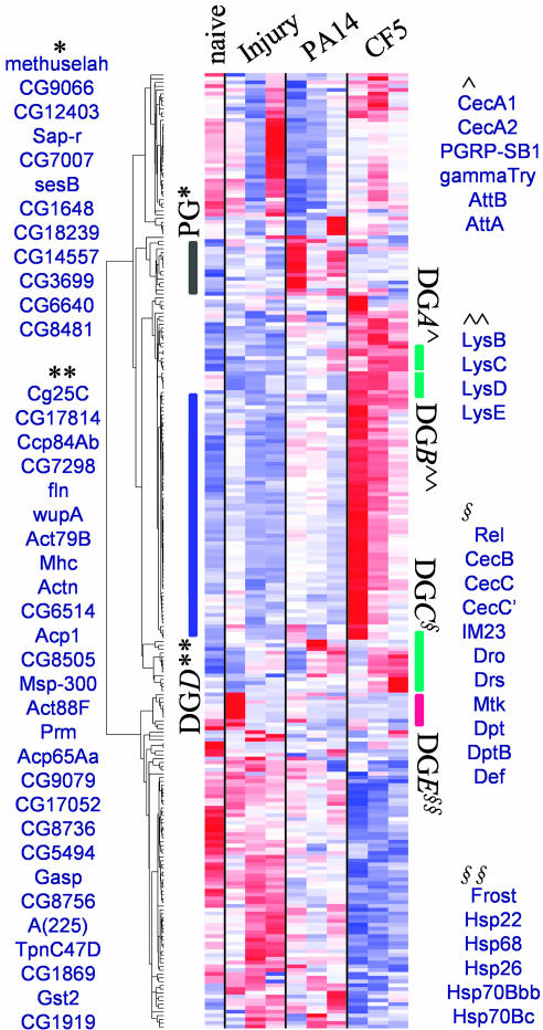 Fig. 4.