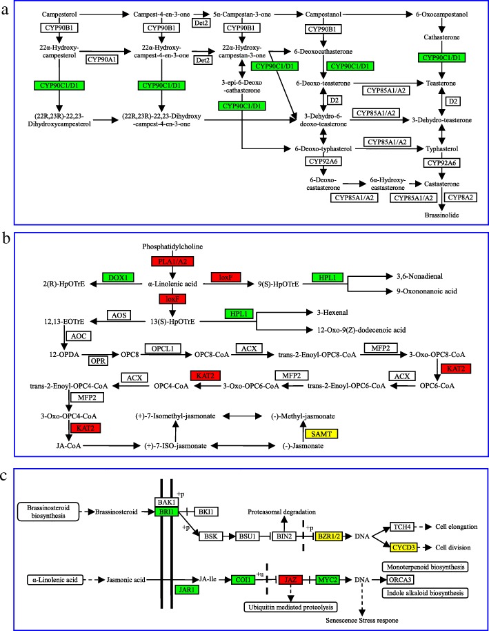 Fig. 6