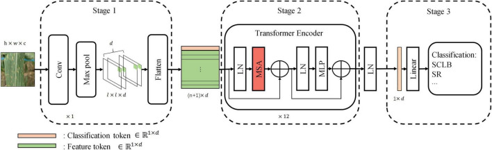 FIGURE 3