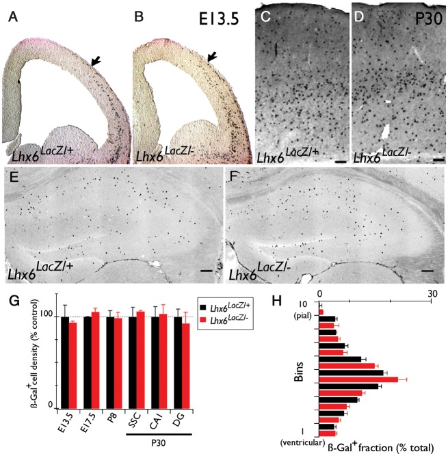 Figure 2.