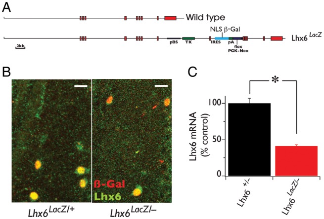 Figure 1.