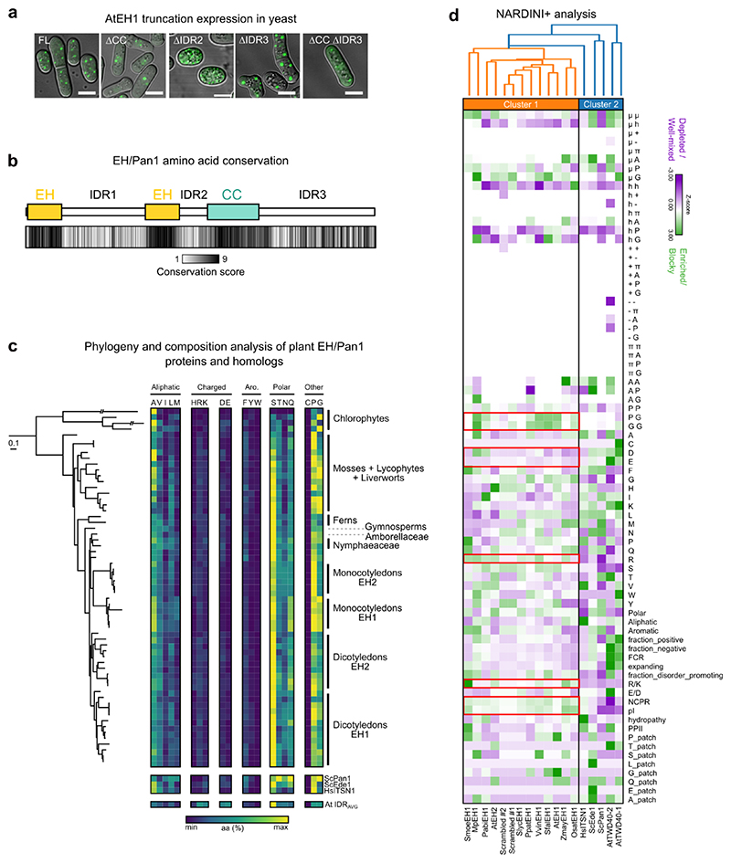 Extended Data Fig. 2 (Related to Figure 2)