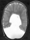 F<sc>ig</sc> 6.