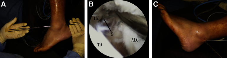 Fig 5