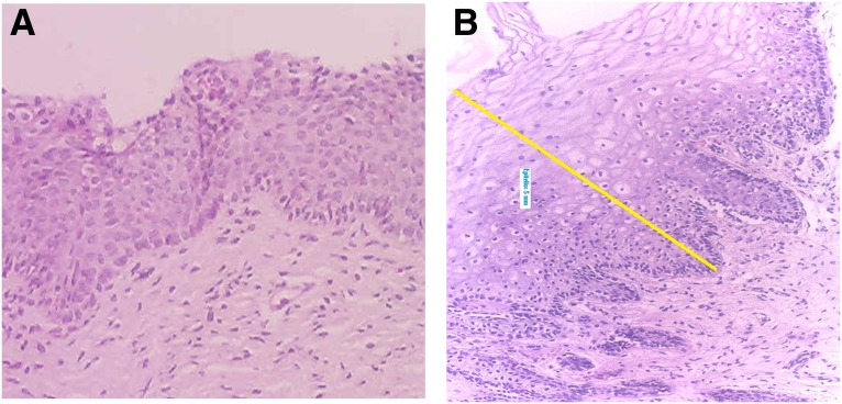 FIG. 7.