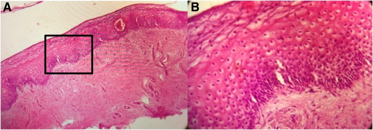 FIG. 8.