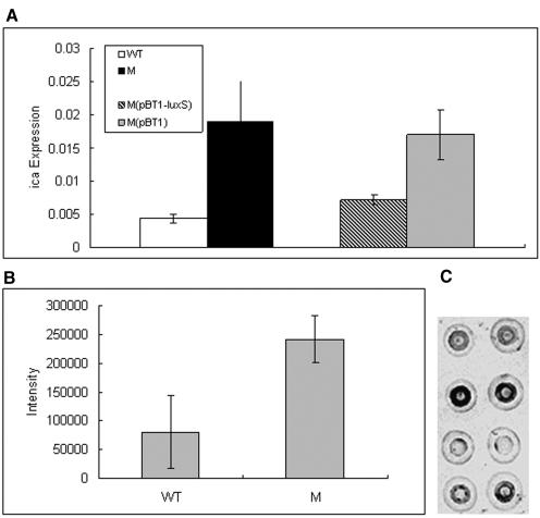 FIG. 7.