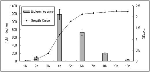 FIG. 3.