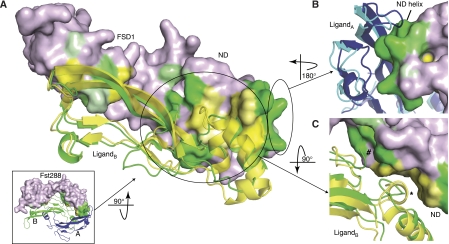 Figure 5