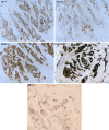 Fig. 4