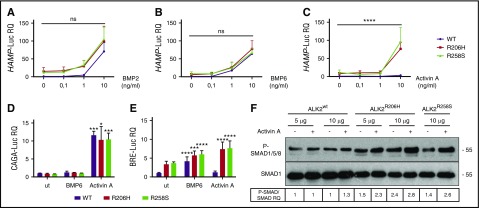 Figure 6.