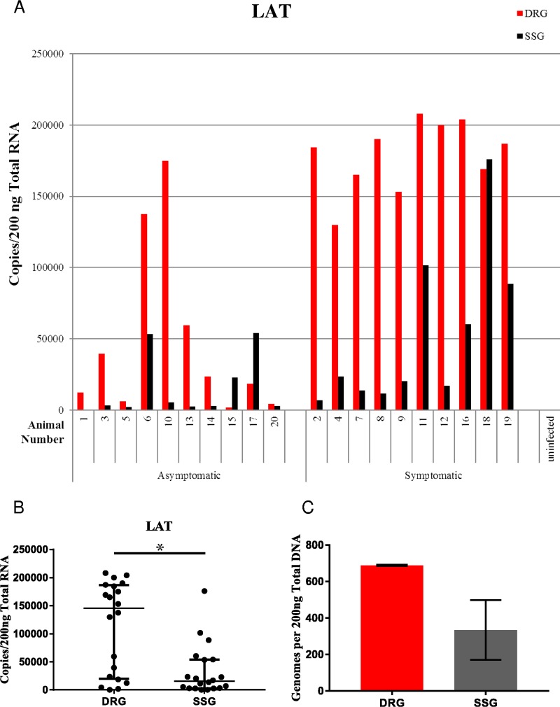 FIG 3