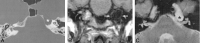 <sc>fig</sc> 5.