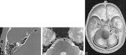 <sc>fig</sc> 1.