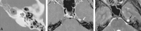 <sc>fig</sc> 3.