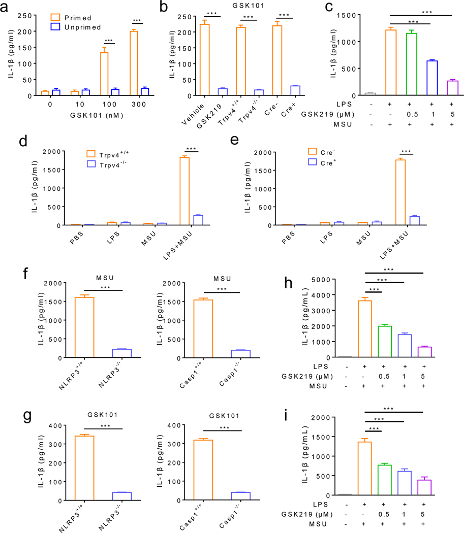 Figure 4: