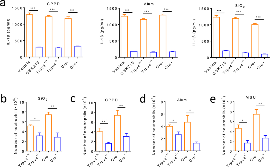 Figure 6: