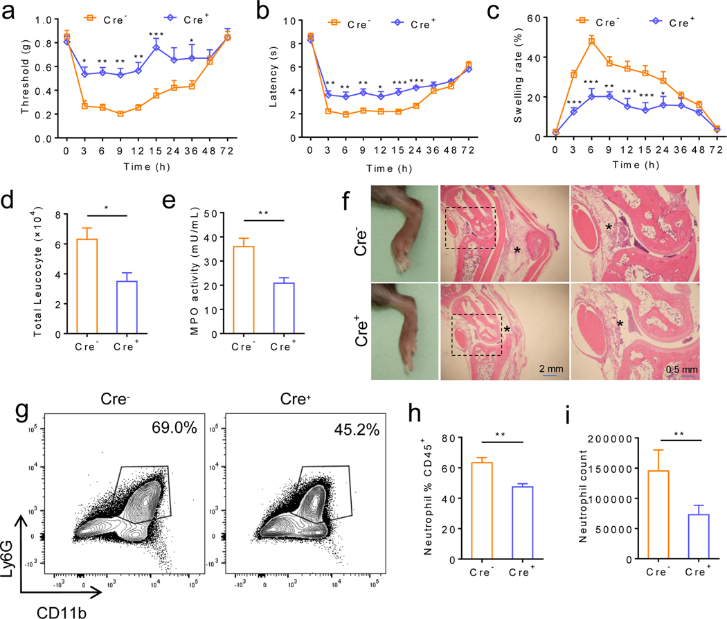 Figure 3: