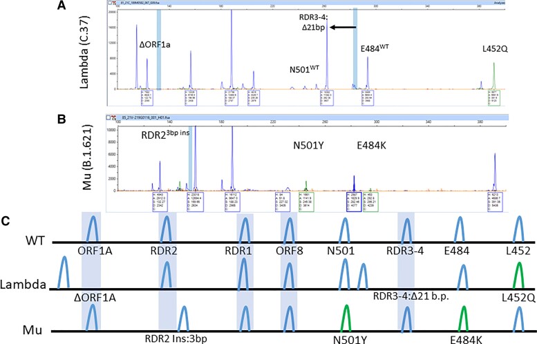 Fig. 6.