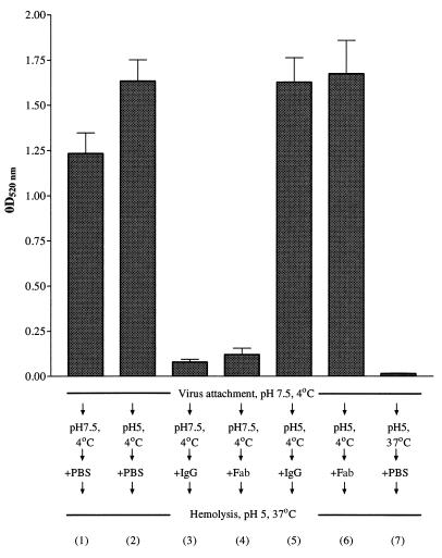 FIG. 8